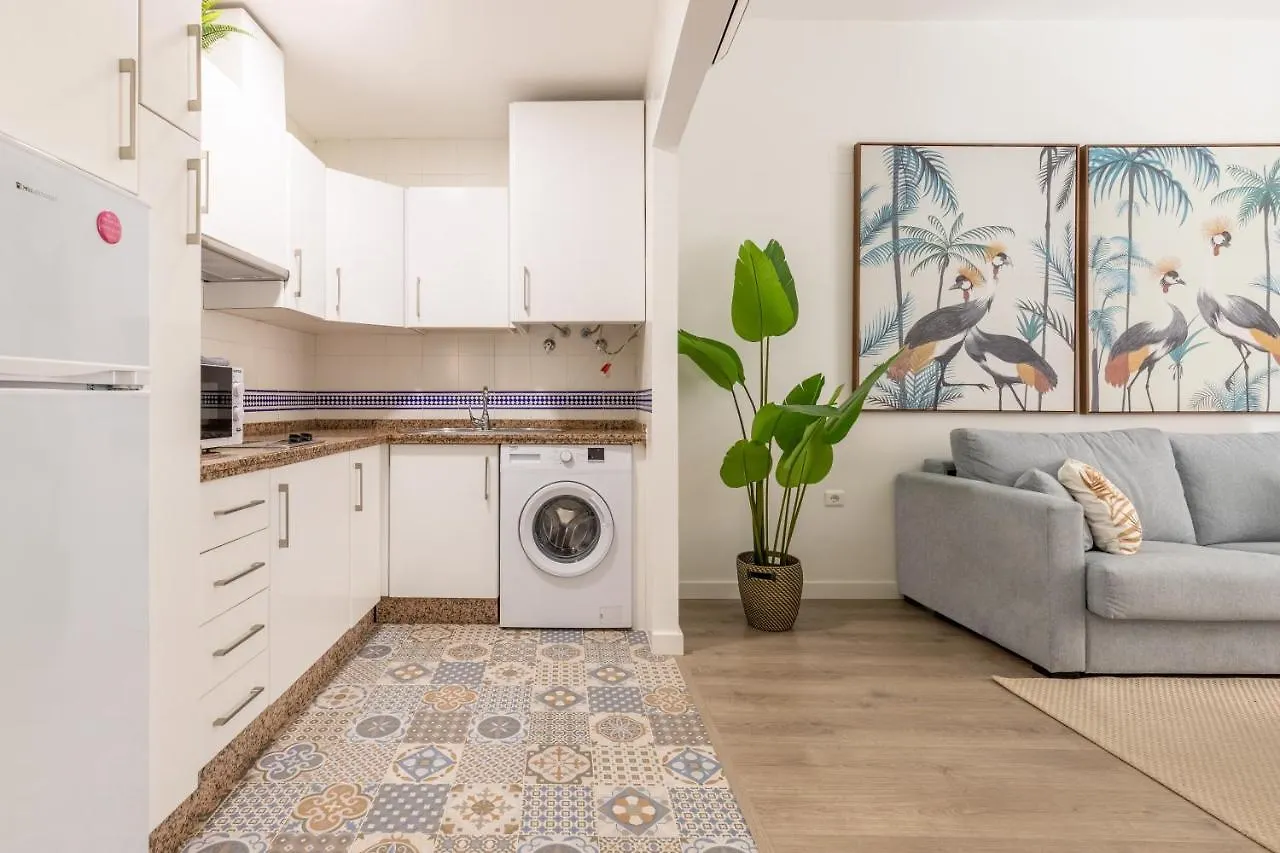 Thyssen Boutique Apartments By Caleta Homes Málaga